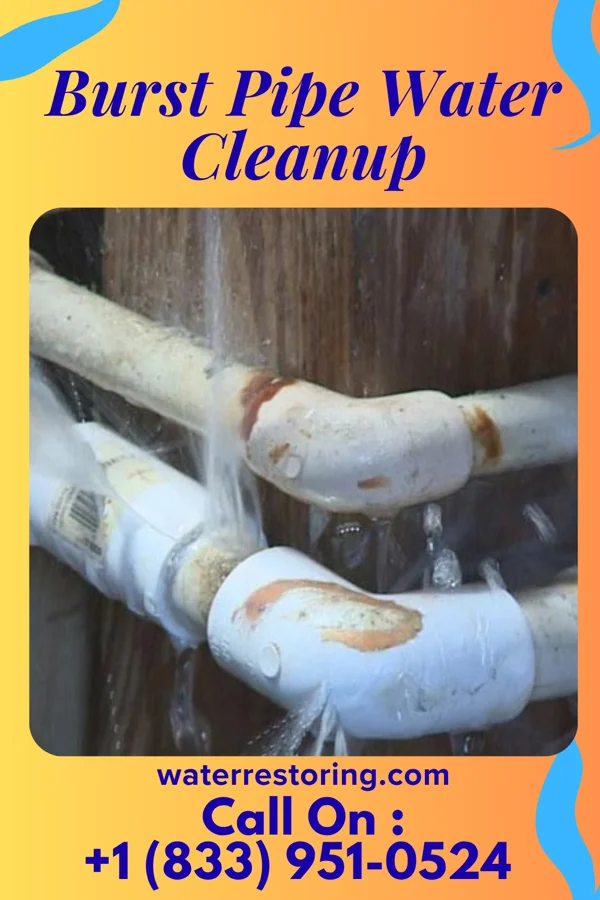 Burst Pipe Water Cleanup in South Williamsport, PA