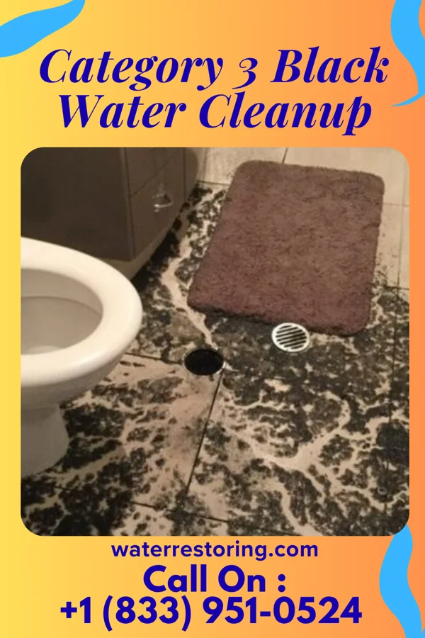 Category 3 Black Water Cleanup in South Williamsport, PA