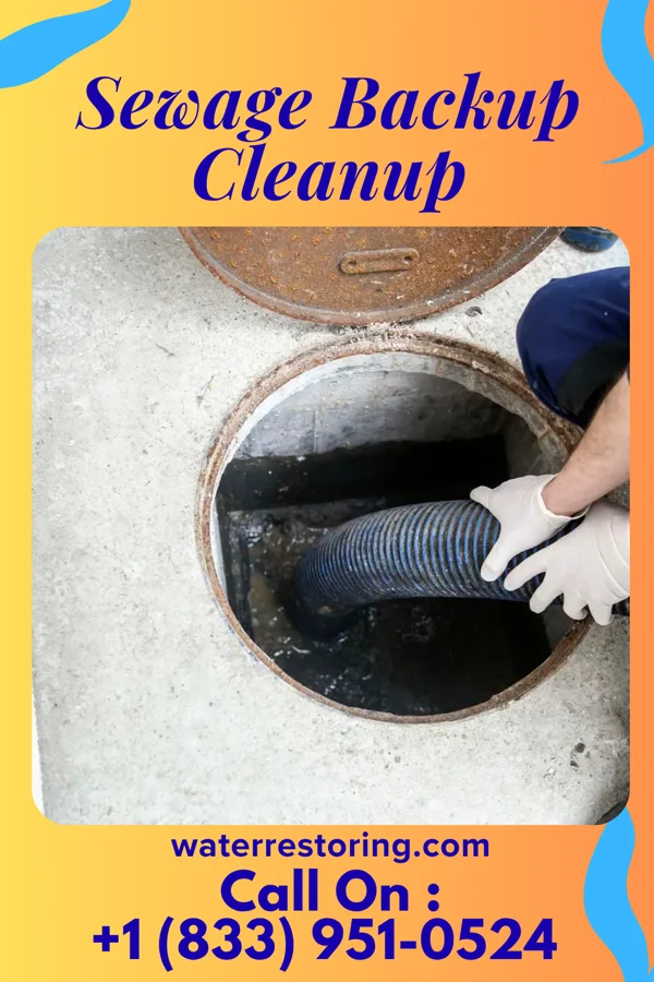 Sewage Backup Cleanup in South Williamsport, PA