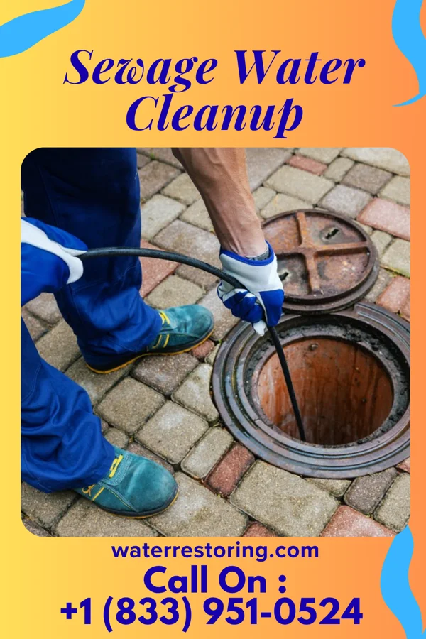 Sewage Water Cleanup in South Williamsport, PA