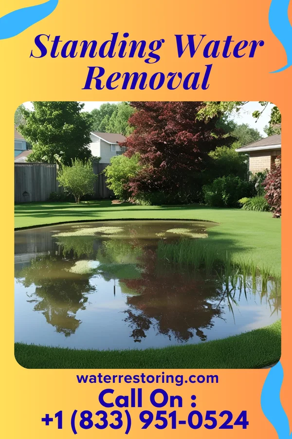 Standing Water Removal in South Williamsport, PA